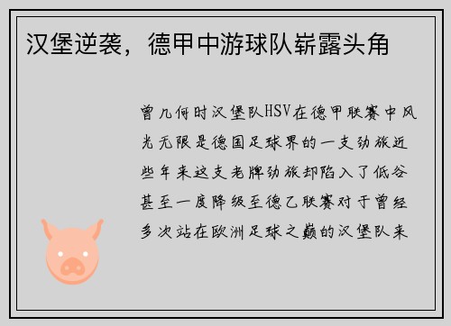 汉堡逆袭，德甲中游球队崭露头角